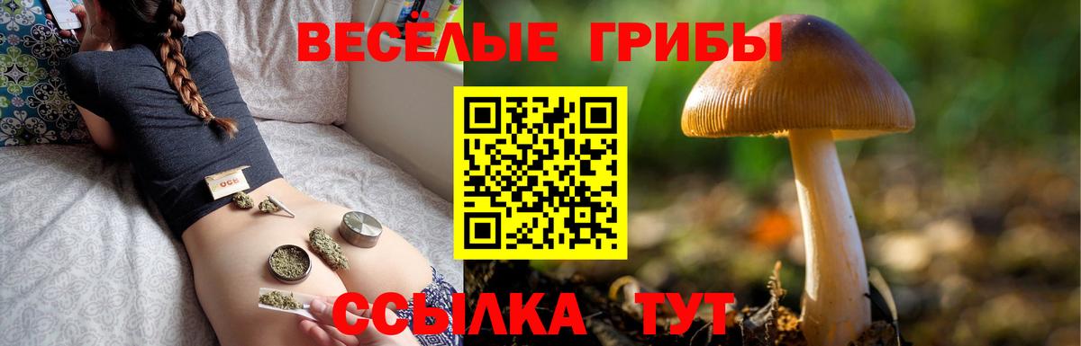 Галлюциногенные грибы GOLDEN TEACHER  Вход с VPN  Семёнов 